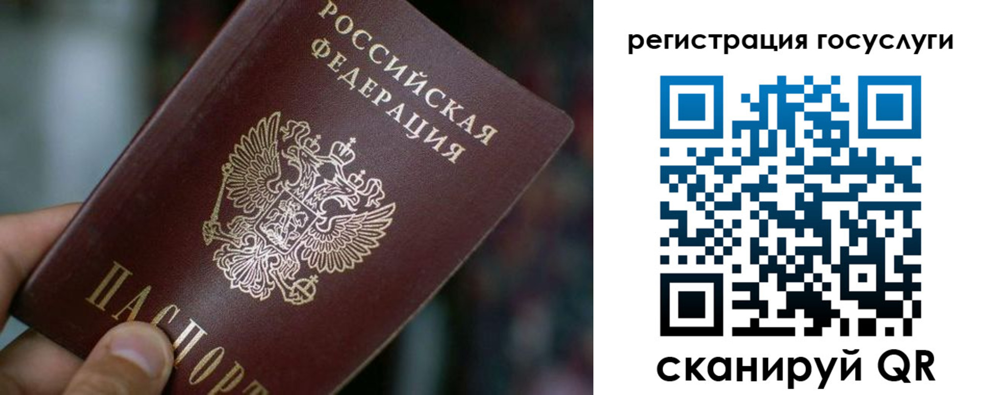 временная прописка в Бийске